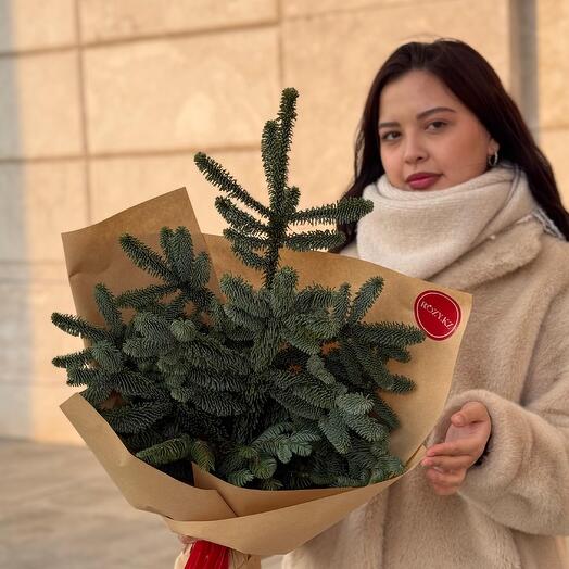 Банч из нобилиса М