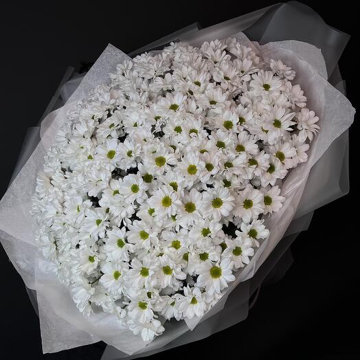 35 кустовых ромашек