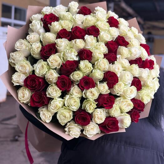 Голландские Белые и красные розы 101