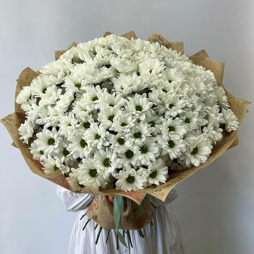 Букет из 35  кустовых хризантем