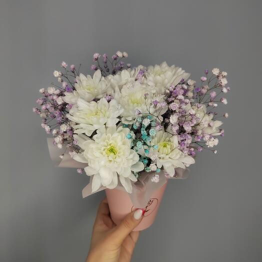 Комплемент 🤩