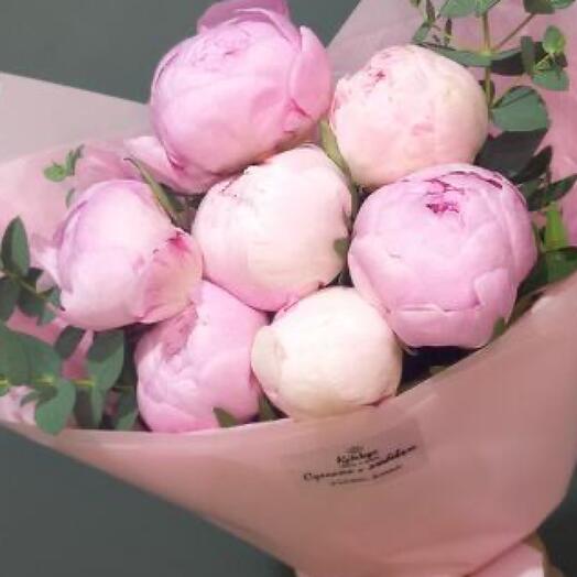 Marshmallow bouquet of 7 Sarah Bernhardt peonies