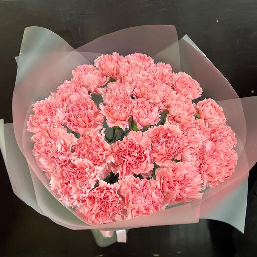 Bouquet of carnations varietal (Dianthus)