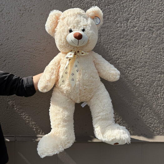 Krem rəngli oyuncaq ayı