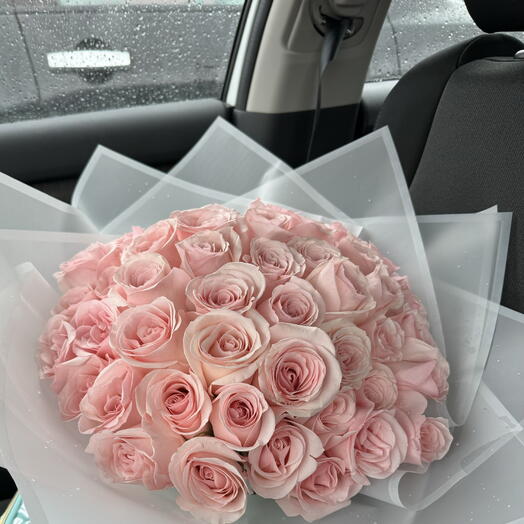 50 pink roses
