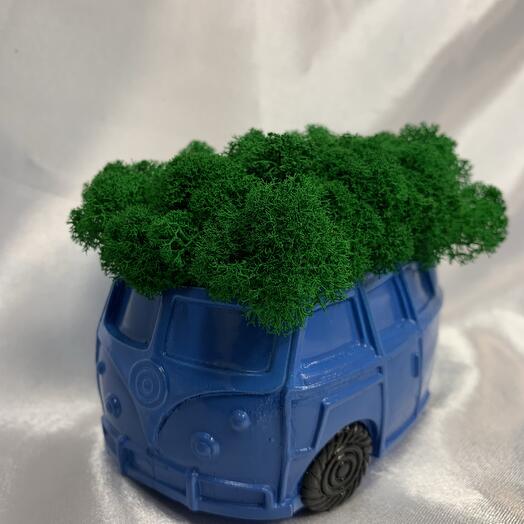 Ретро машинка со стабилизированным мхом