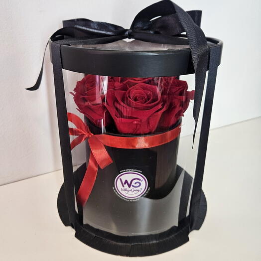 Box premium de rosas rojas preservadas