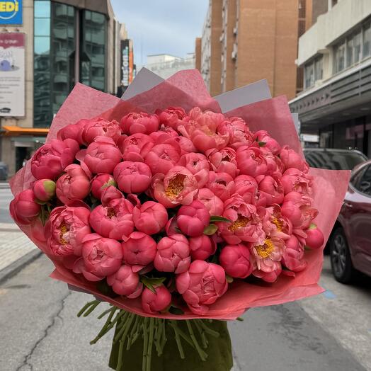 Peonies Dream XXL