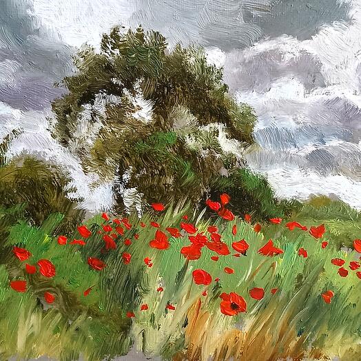 Letnji pejzaz sa makovima