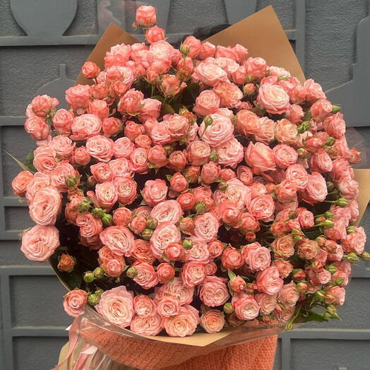 101 pink spray