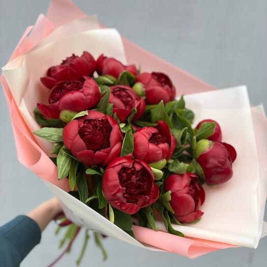 Букет из 11 вишневых  🍒 голландских пионов