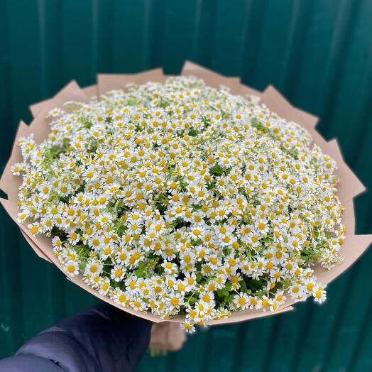 Поразительный букет кустовых ромашек
