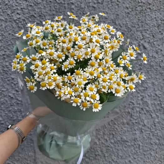 Monobucket made of chamomile