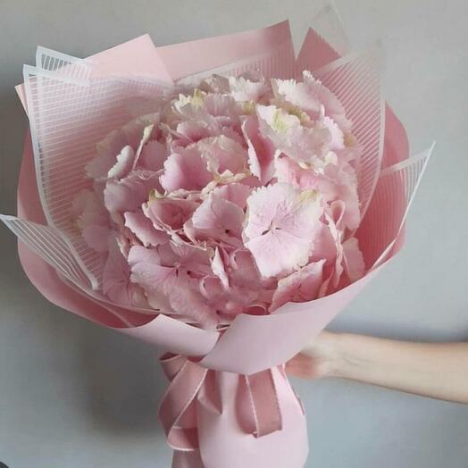 Розовая гортензия в упаковке