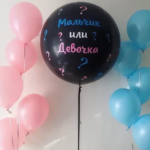 Набор шаров на гендер пати