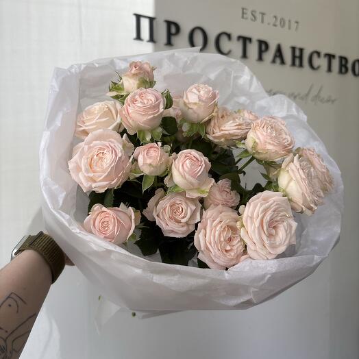 Моно кустовой пионовидной розы сорта бомбастик