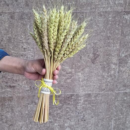 Букет невесты из колосьев пшеницы