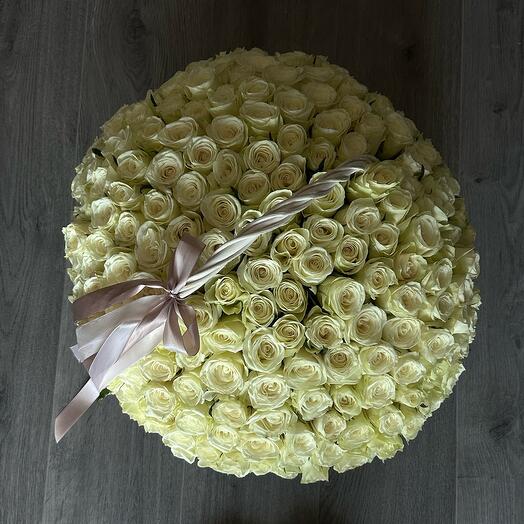 Корзина из 151 белой розы