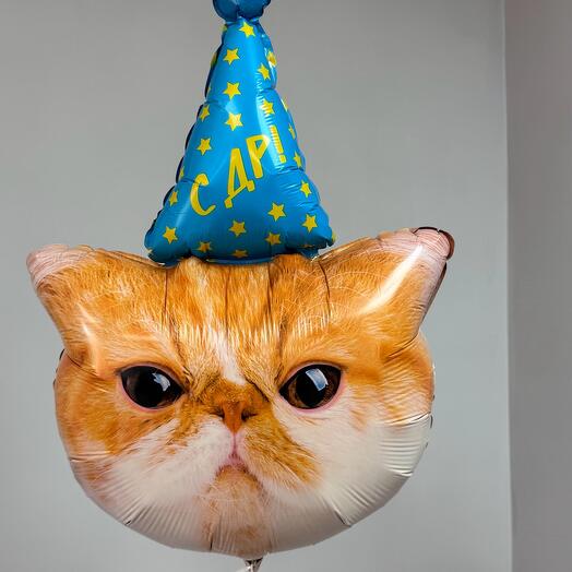 Шар-фигура «Котик с ДР»