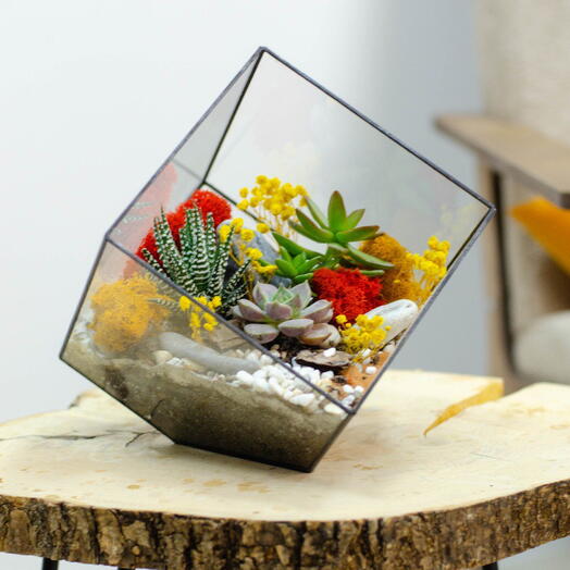 Флорариум Куб маме