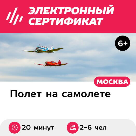 Подарочный сертификат Одновременный полет на 2-х самолетах для 2-6 человек (20 минут)