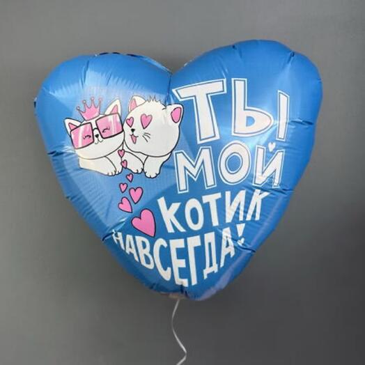 Шар фольгированный Ты мой котик навсегда