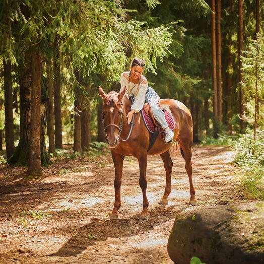 Подарочный сертификат «Конная прогулка» (30 минут, 1 человек)