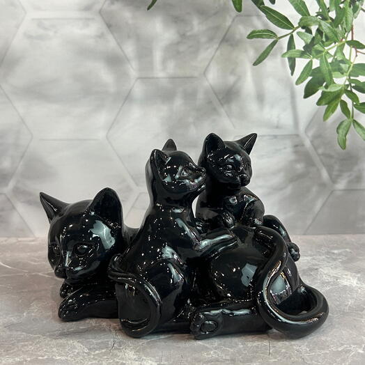 Семейство Черных кошек
