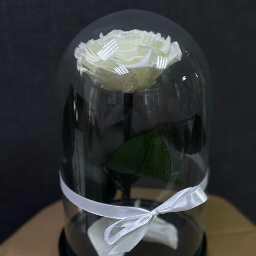 Роза в колбе — White Premium
