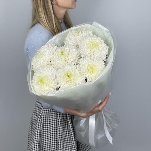 Букет из 7 белых одноголовых хризантем (15)