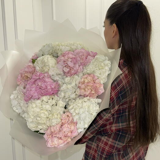 Букет из 15 гортензий