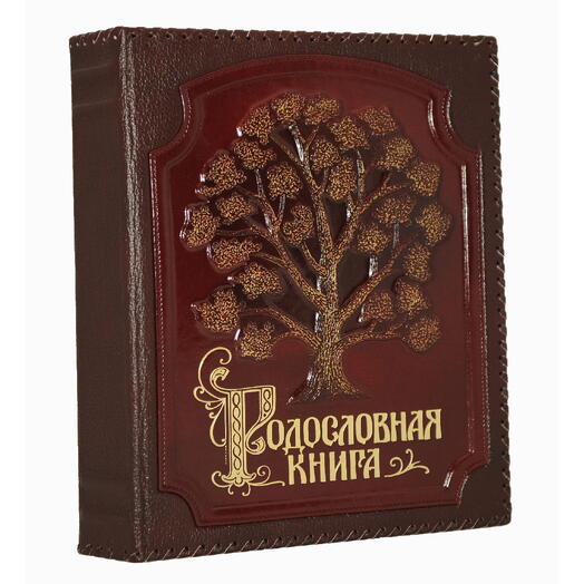 Libro de la familia "Exquisito árbol de oro" trenzado en la cubierta de cuero genuino, oro