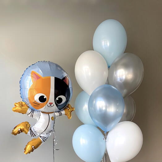 Сет Кот Космонавт