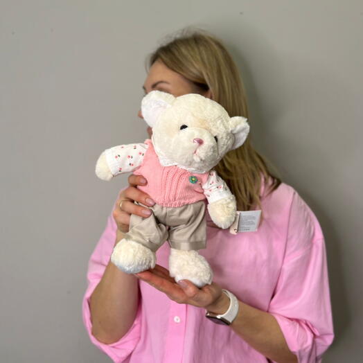 Мишка модник