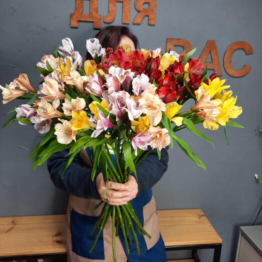 Альстрамерия микс 21