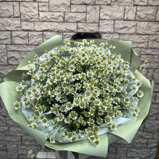 Моно букет из ромашек