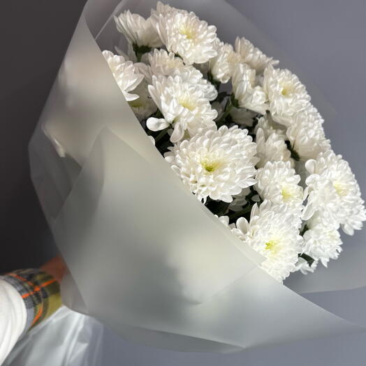 Просто порадовать без повода — 5 хризантем💐