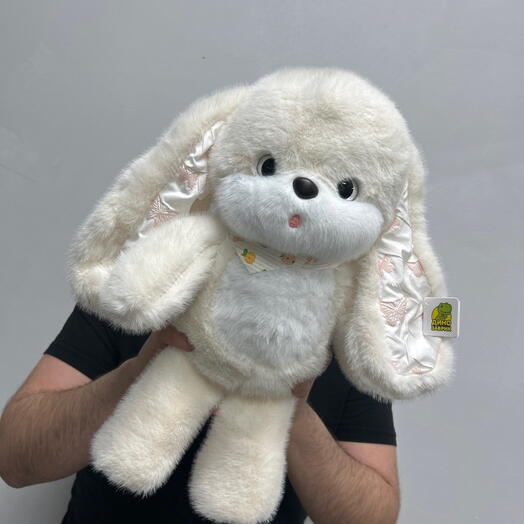 Зайчик с ушами