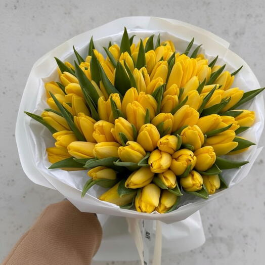 Прекрасные жёлтые тюльпаны, 51 шт