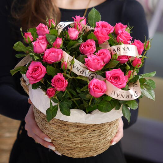 Моно-композиция 5 шт софи в корзине