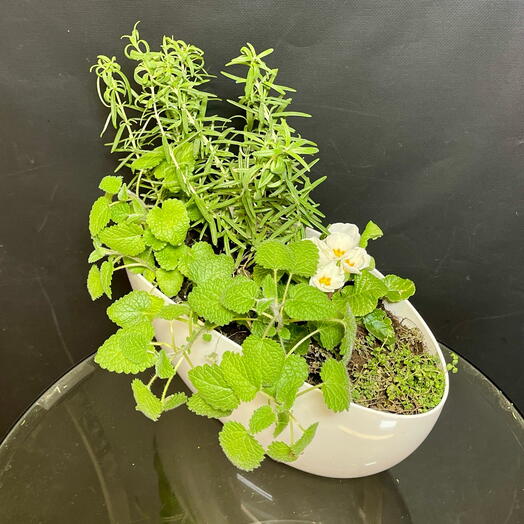 Красивого чаепития. Пряные травы в ладье: мята, розмарин, тимьян