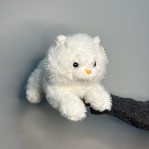 Кошечка