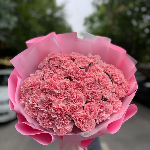 Rosy Whisper