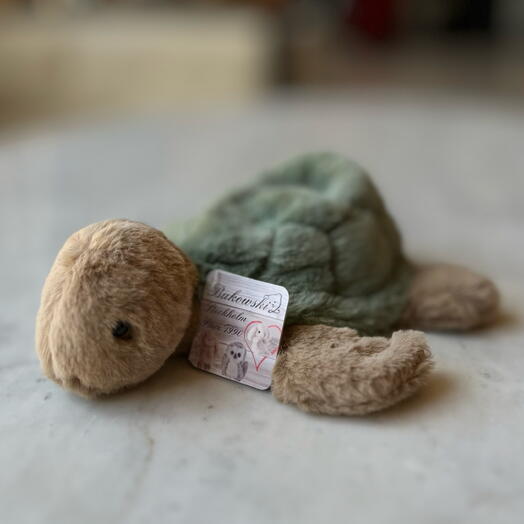 Черепаха 🐢