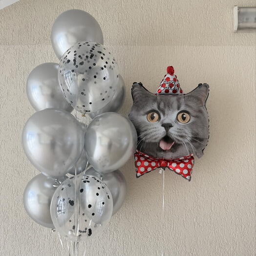 Шарики с котиком