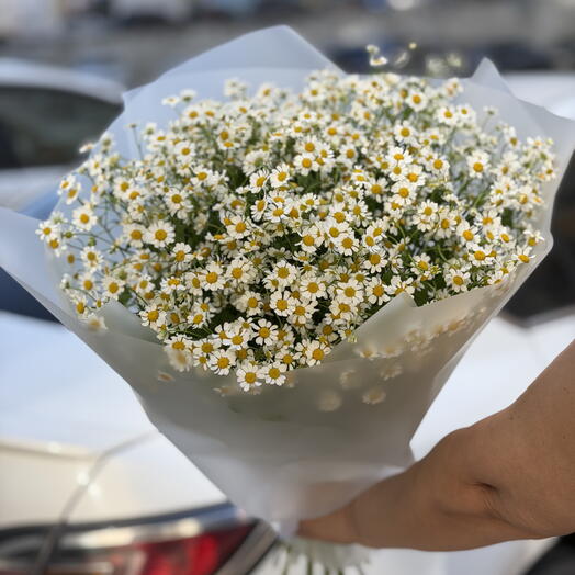 Ромашки