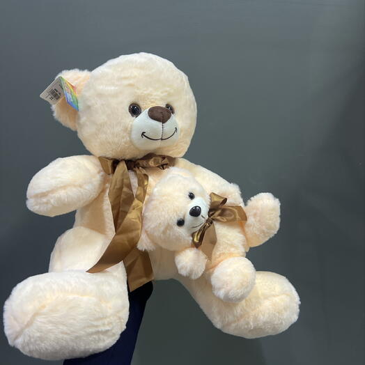 Мягкая игрушка мишка с мишкой🧸