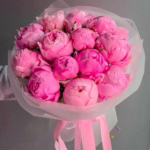 Пионы Коралловые 13 штук