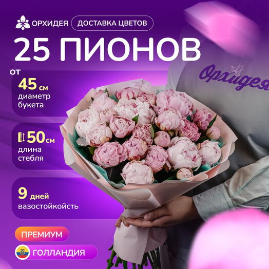 25 Пионов "Сара Бернар"
