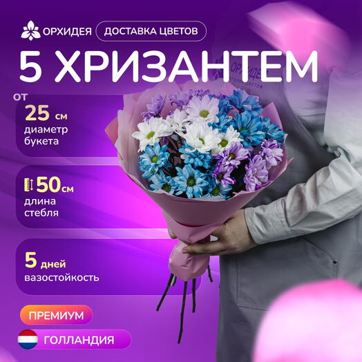 5 хризантем микс краш